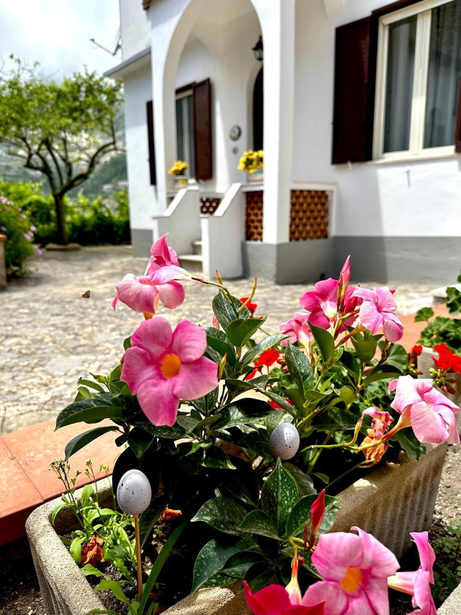 Simona House Villa Ravello Dış mekan fotoğraf